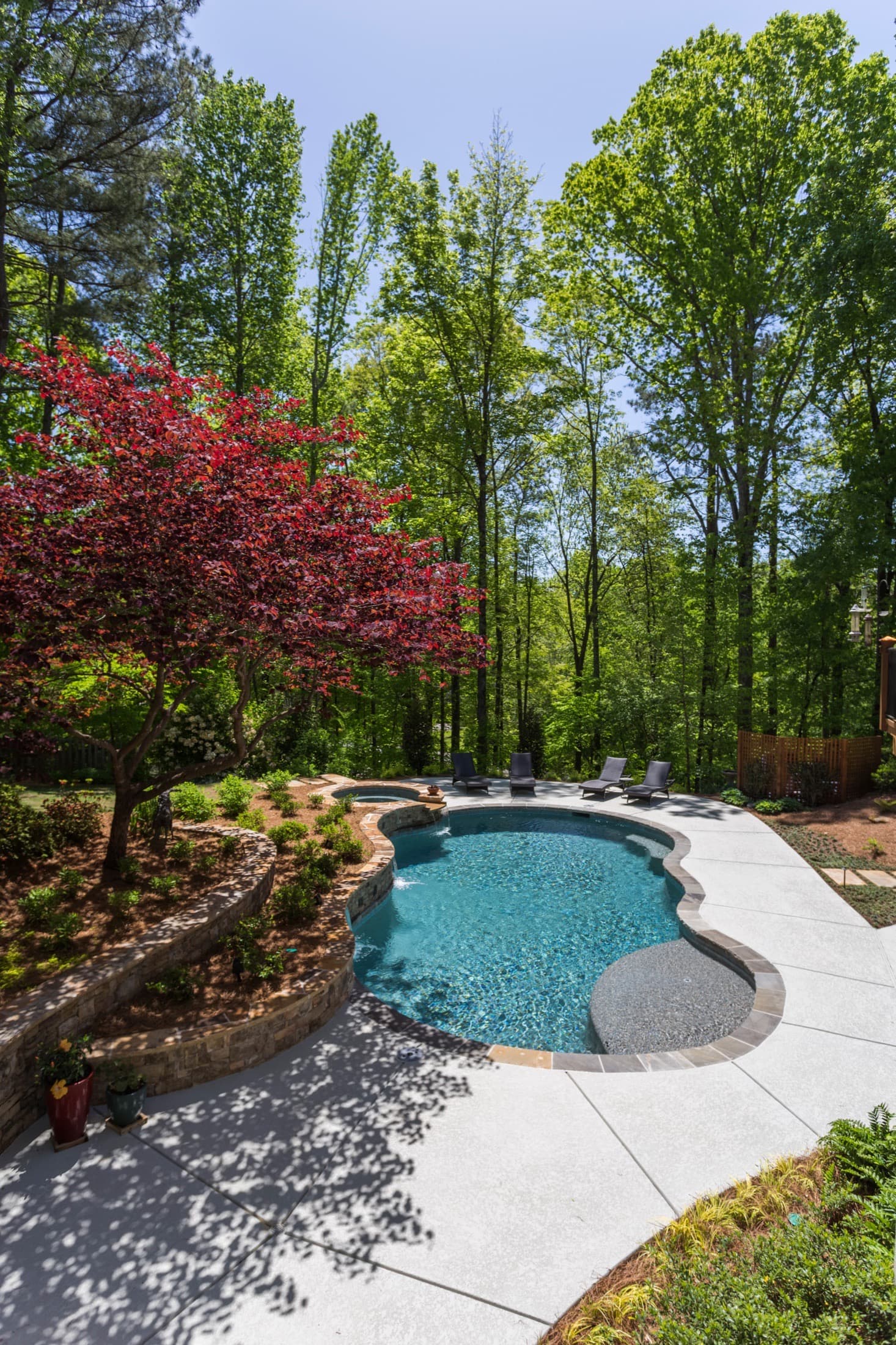 Portrait view of the Starke freeform pool beneath the mature tree canopy in Johns Creek
