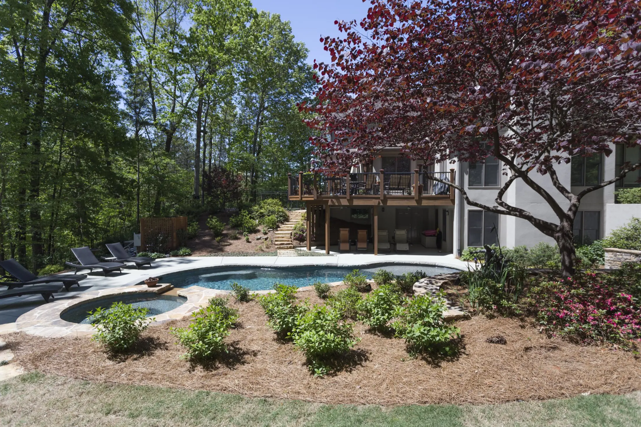 The Starke pool in Johns Creek with natural stone edges and plantings, an example of Atlantis's freeform and natural pool type
